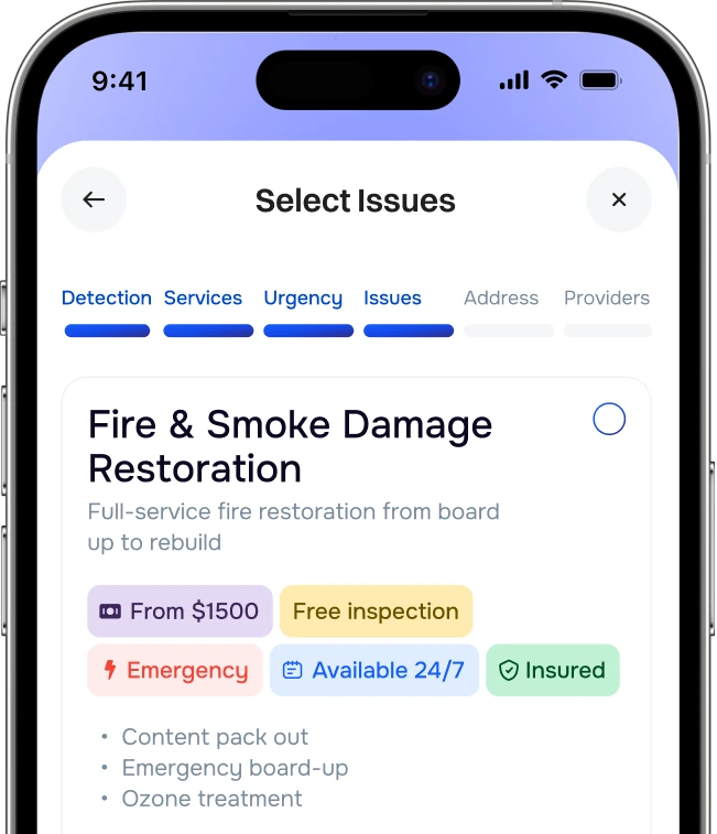FixLoupe app screen for selecting a home issue